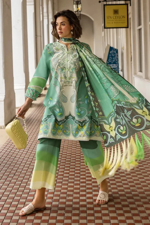 MUSHQ HEMLINE 2025 - ARIELA