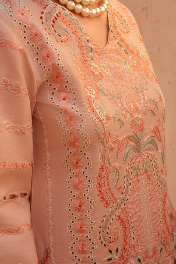 RANG RASIYA PREMIUM LUXURY LAWN - MINAAL - Image 7