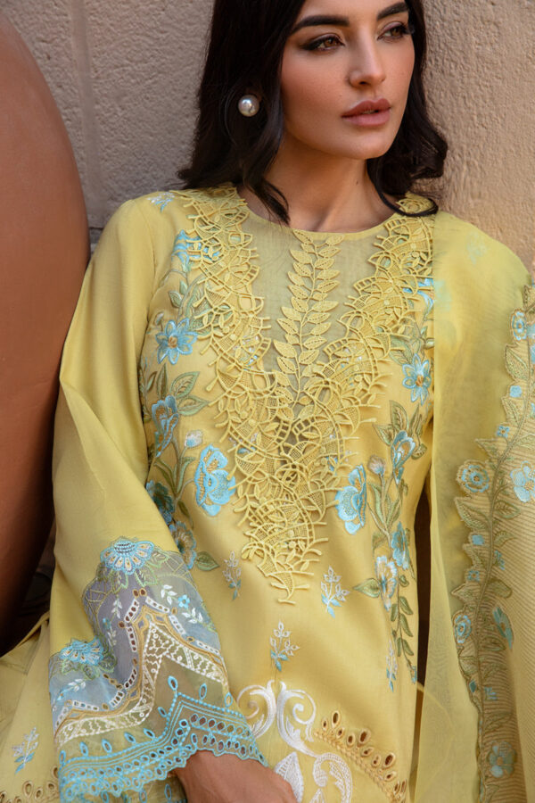 RANG RASIYA PREMIUM LUXURY LAWN - AMANI - Image 3