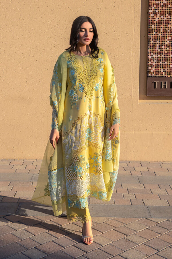 RANG RASIYA PREMIUM LUXURY LAWN - AMANI - Image 6