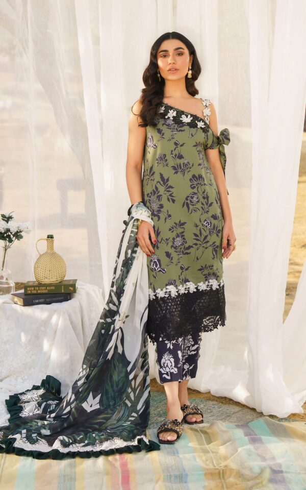 Asifa & Nabeel Meraki`24 Vol-1 DARCY