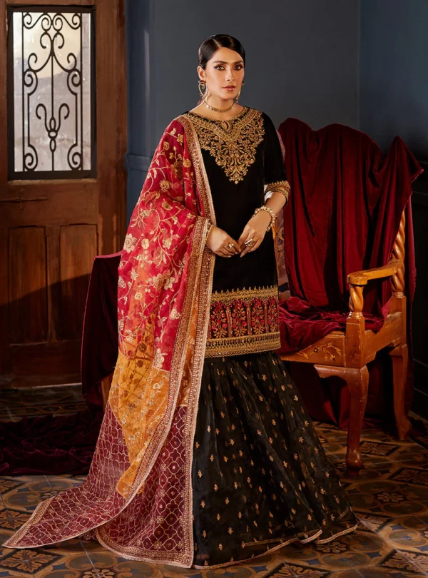 ZAINAB CHOTTANI VELVET - MEHAR MAH 02