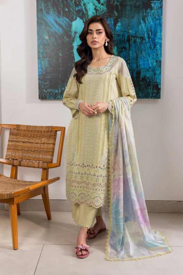RANG RASIYA CARNATION - NORA