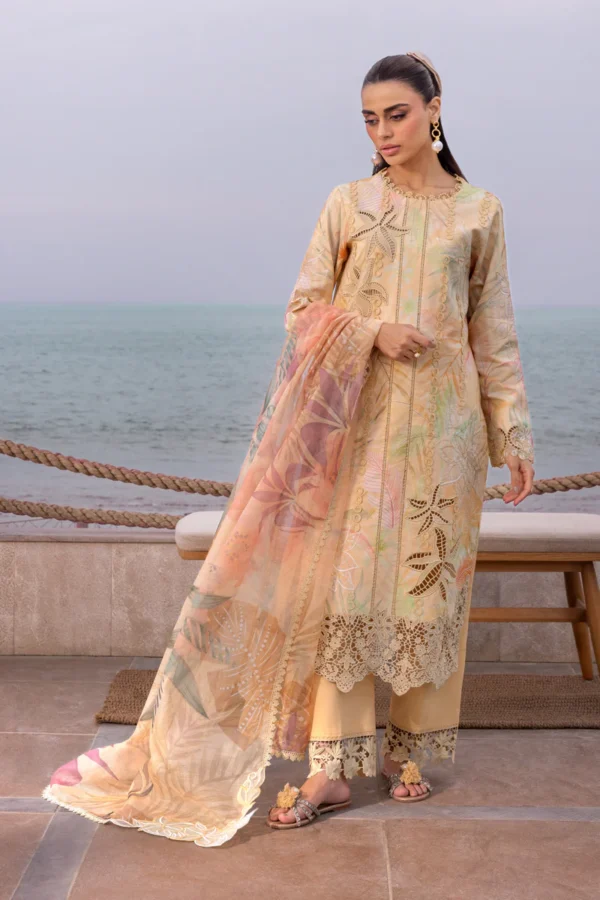RANG RASIYA CARNATION - EZRA