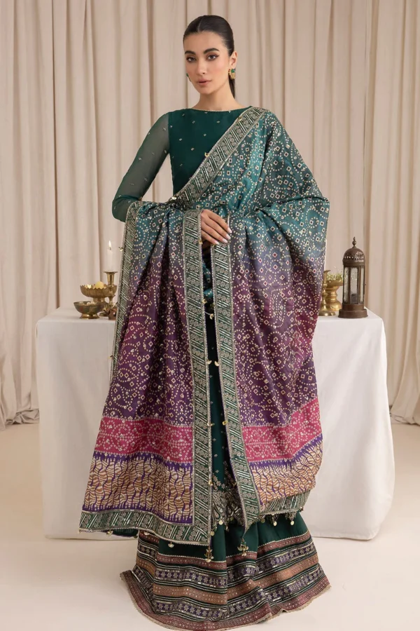 BAROQUE EMBROIDERED CHIFFON - UC - 3016 - Image 9