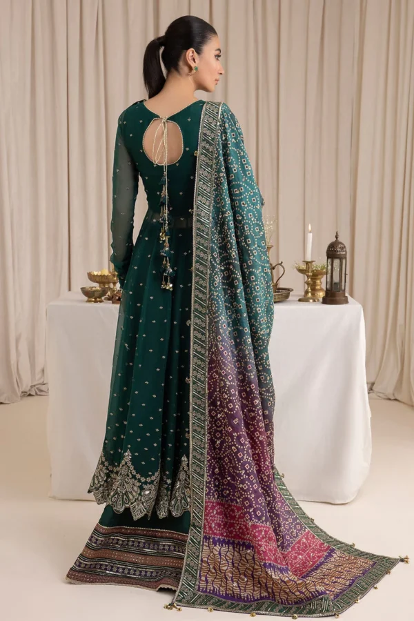 BAROQUE EMBROIDERED CHIFFON - UC - 3016 - Image 8