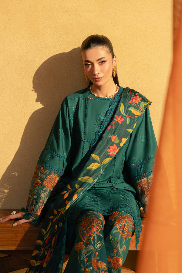 SAIRA RIZWAN – (LIRA-SRL25-10) - Image 6