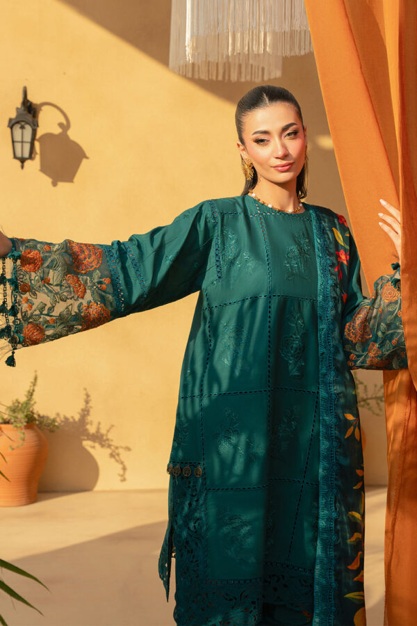 SAIRA RIZWAN – (LIRA-SRL25-10) - Image 4