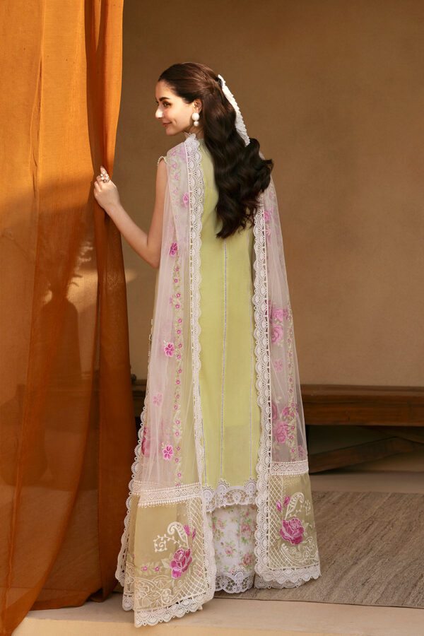 SAIRA RIZWAN – (VERA-SRL25-05) - Image 2