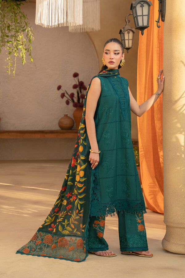 SAIRA RIZWAN – (LIRA-SRL25-10) - Image 2