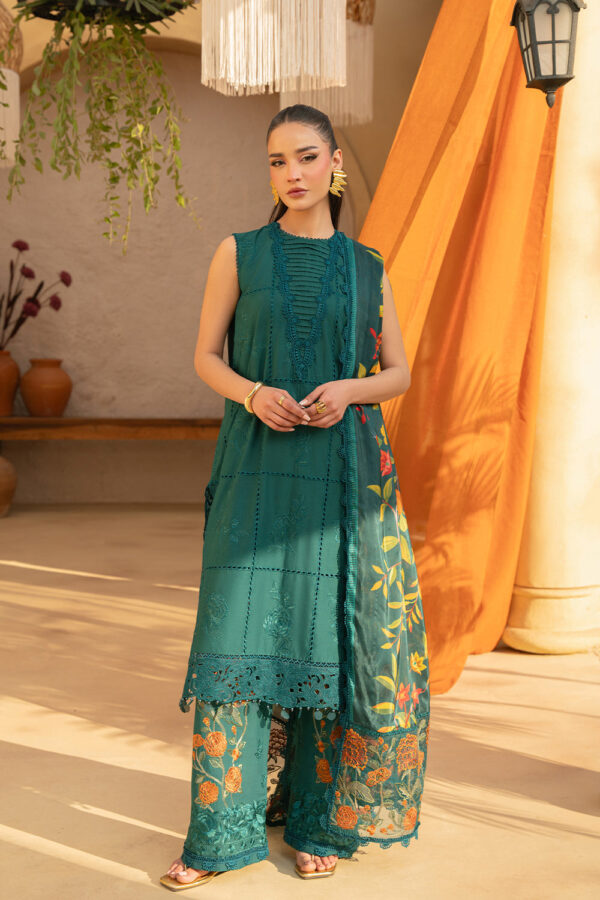 SAIRA RIZWAN – (LIRA-SRL25-10)