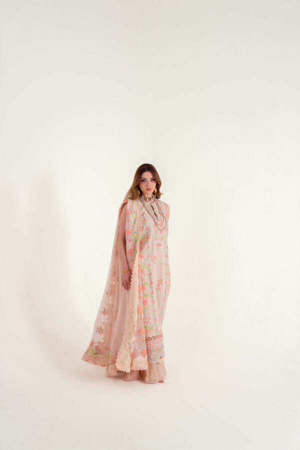 SABLE VOGUE – (SL-03-25-V2) - Image 7