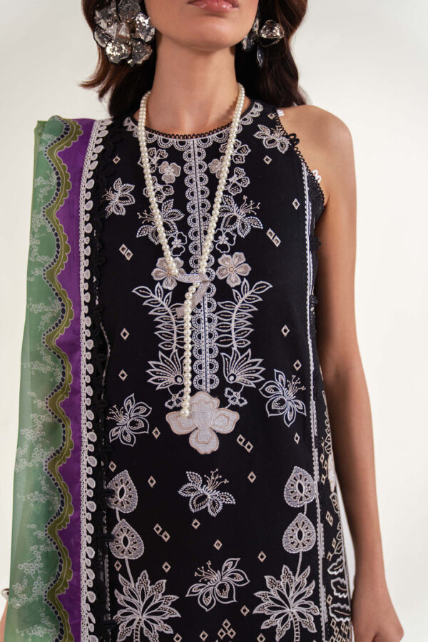 SABLE VOGUE – (SL-10-25-V2) - Image 2