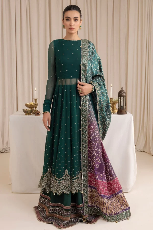 BAROQUE EMBROIDERED CHIFFON - UC - 3016