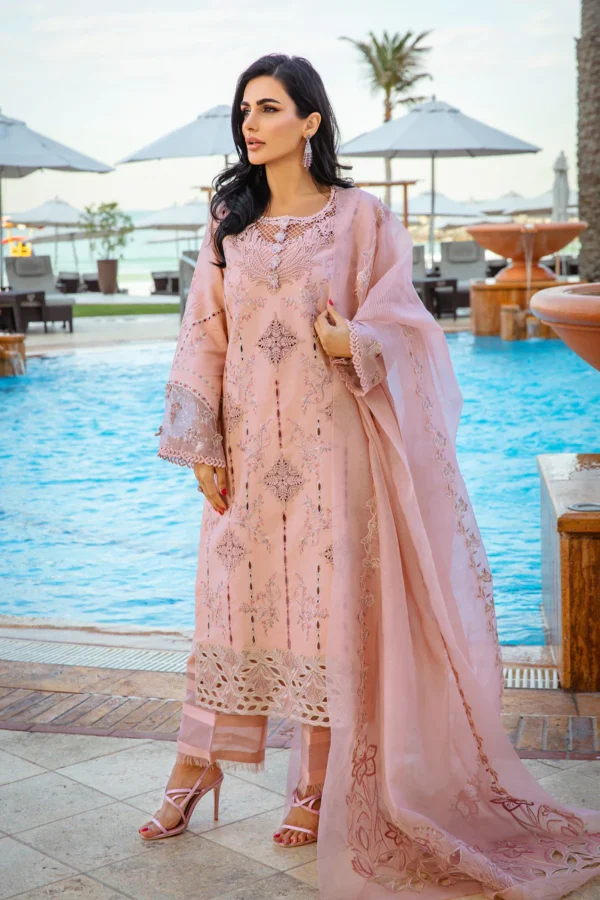 RANG RASIYA PREMIUM - AMANI