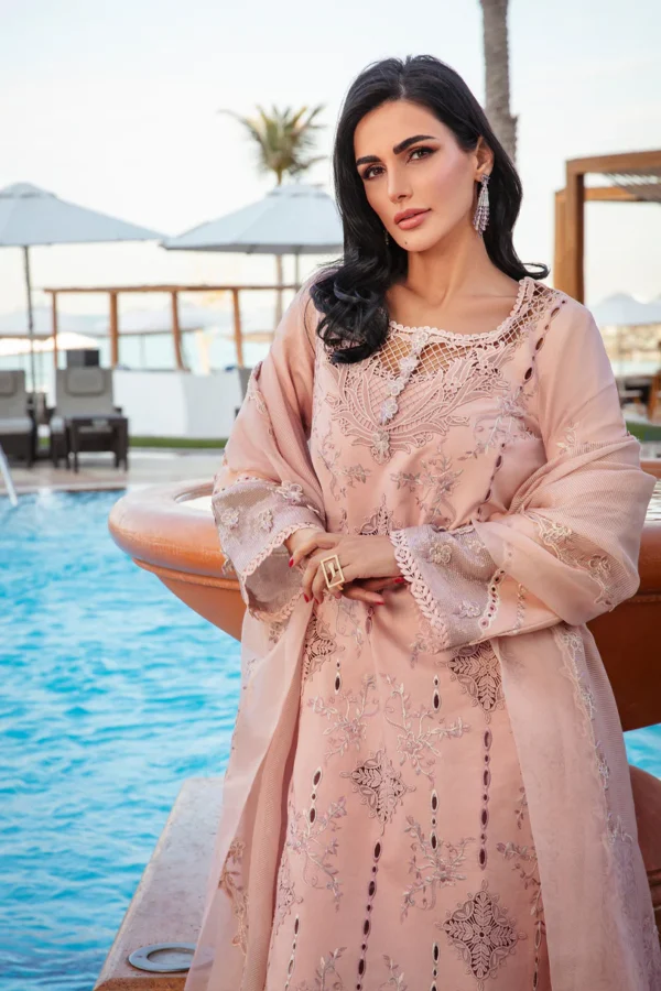 RANG RASIYA PREMIUM - AMANI - Image 7
