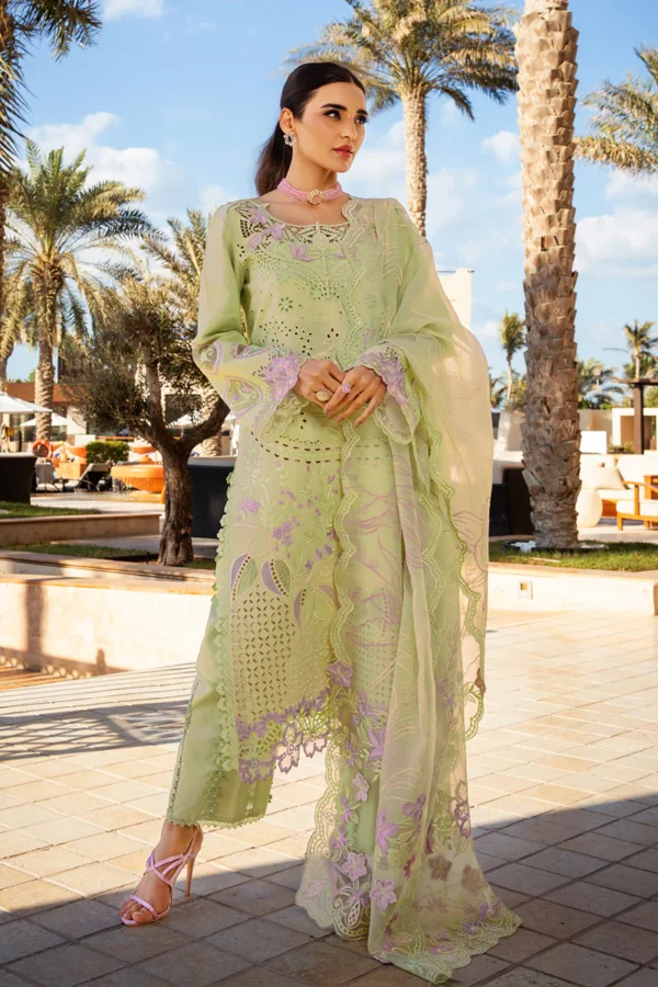 RANG RASIYA PREMIUM - AYLEEN - Image 11