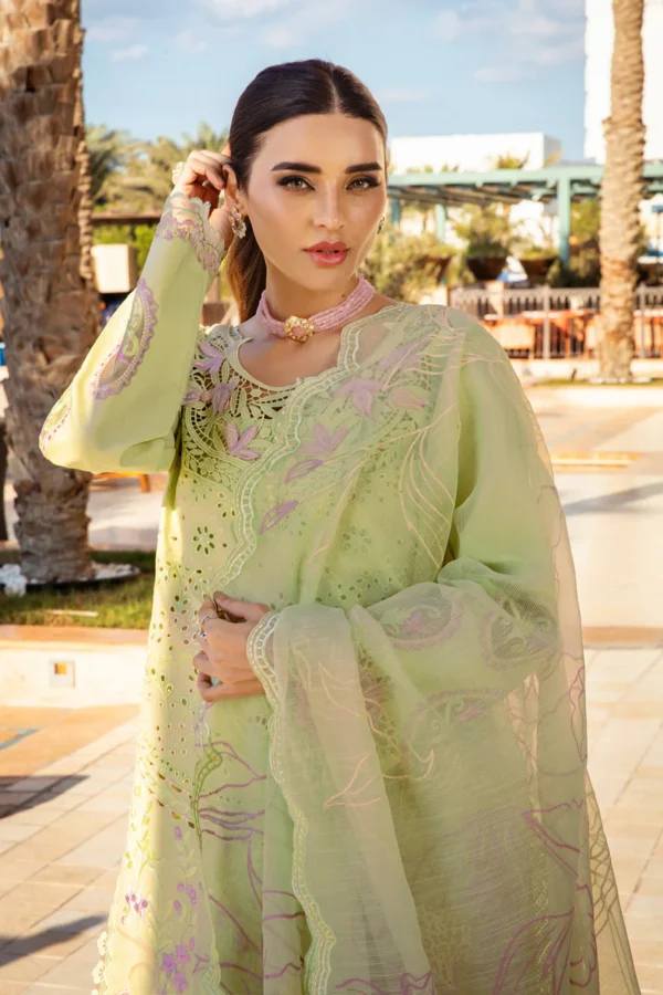 RANG RASIYA PREMIUM - AYLEEN - Image 10
