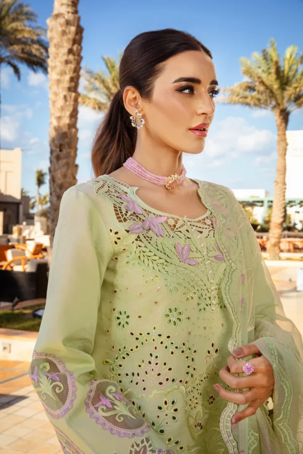 RANG RASIYA PREMIUM - AYLEEN - Image 8