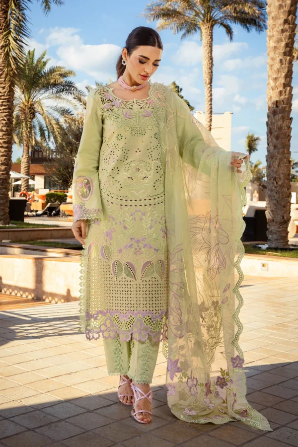 RANG RASIYA PREMIUM - AYLEEN - Image 7