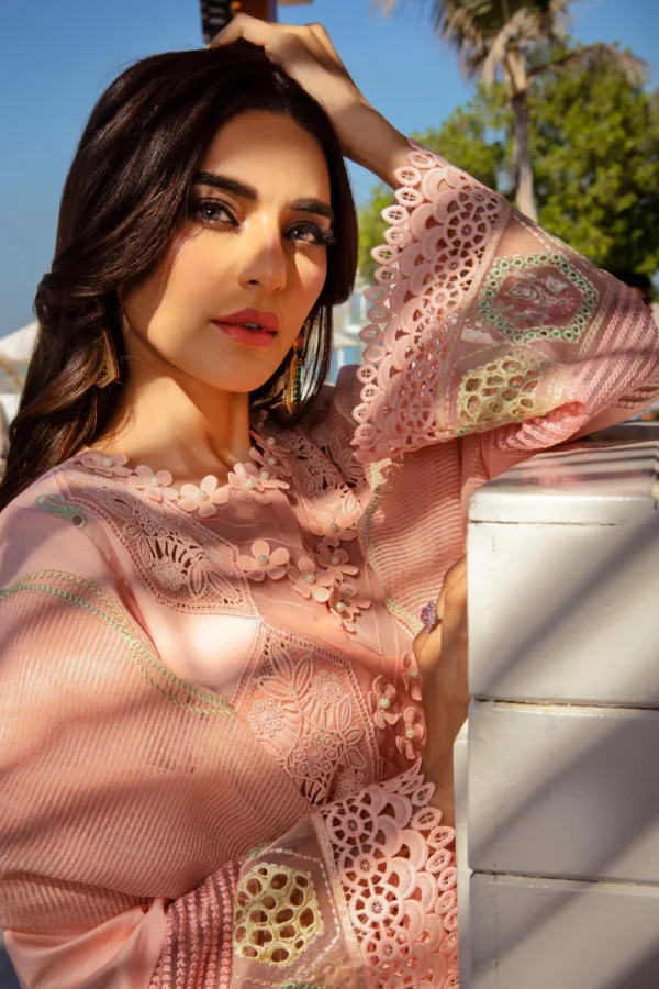RANG RASIYA PREMIUM - BAREEHA - Image 11