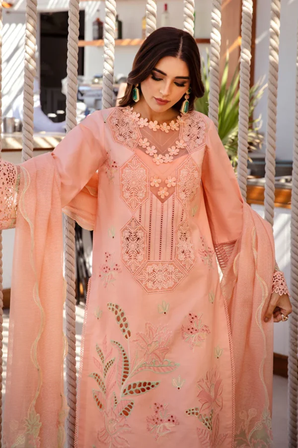 RANG RASIYA PREMIUM - BAREEHA - Image 9
