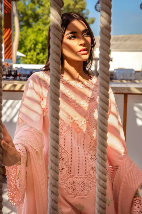 RANG RASIYA PREMIUM - BAREEHA - Image 8