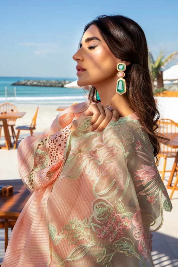 RANG RASIYA PREMIUM - BAREEHA - Image 5
