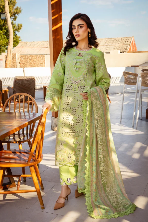 RANG RASIYA PREMIUM - ELAHEH