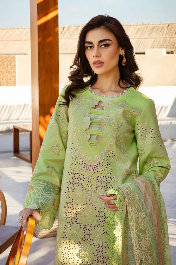 RANG RASIYA PREMIUM - ELAHEH - Image 10