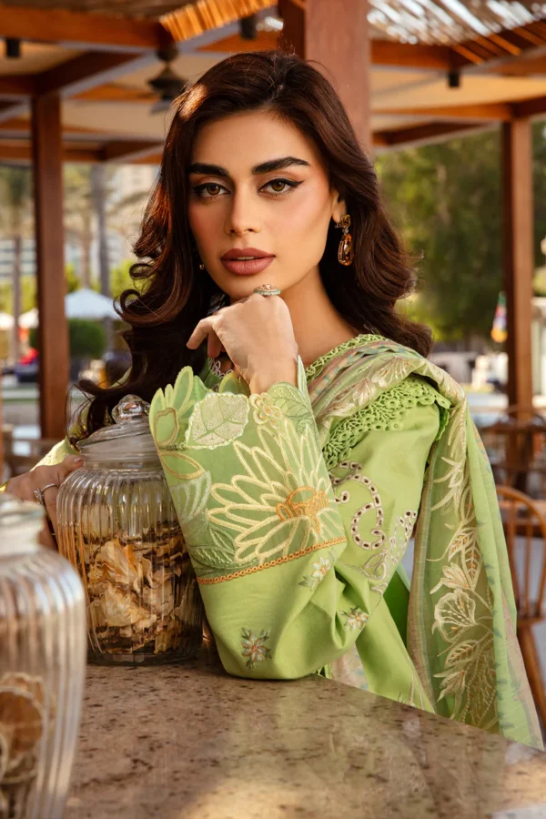 RANG RASIYA PREMIUM - ELAHEH - Image 8