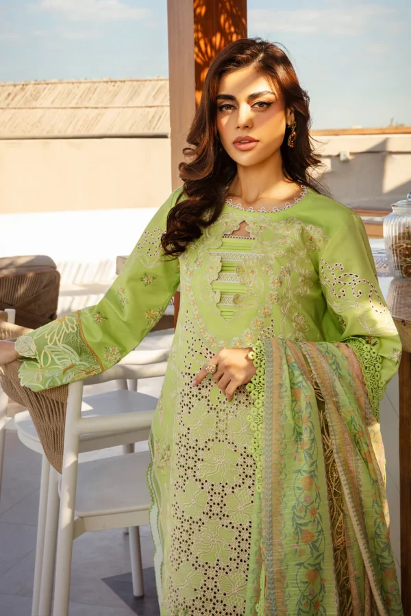 RANG RASIYA PREMIUM - ELAHEH - Image 7