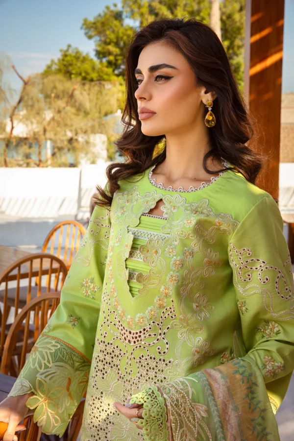 RANG RASIYA PREMIUM - ELAHEH - Image 6