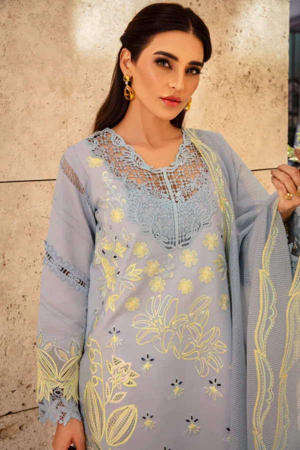 RANG RASIYA PREMIUM - ELNAZ - Image 8