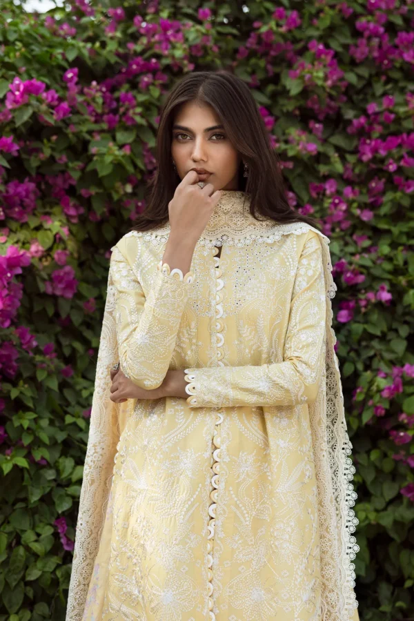 AFROZEH – TAQDEER - Image 4