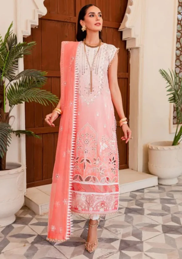 NOOR-E-NAZAR BY PARISHAY : NEE-06 - Image 3