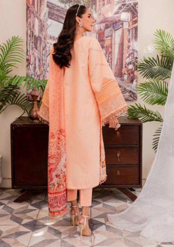 NOOR-E-NAZAR BY PARISHAY : NEE-03 - Image 4