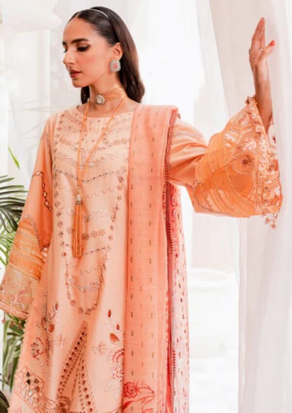 NOOR-E-NAZAR BY PARISHAY : NEE-03 - Image 3