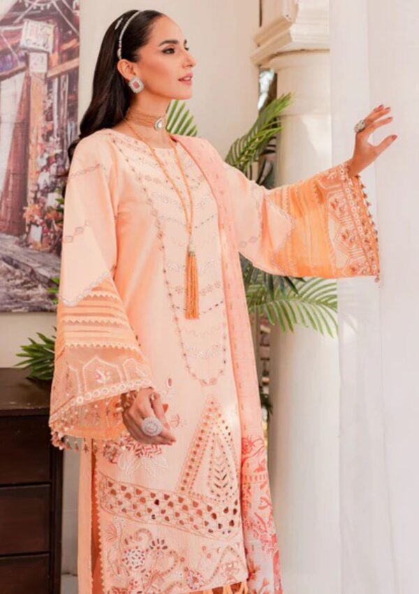 NOOR-E-NAZAR BY PARISHAY : NEE-03 - Image 2