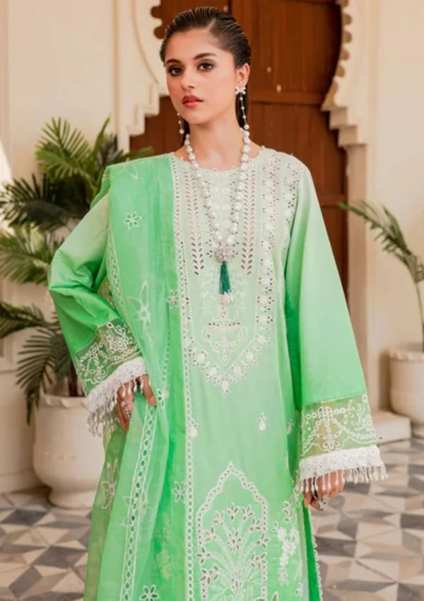 NOOR-E-NAZAR BY PARISHAY : NEE-05 - Image 5