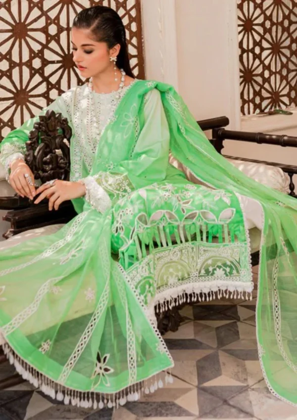 NOOR-E-NAZAR BY PARISHAY : NEE-05 - Image 4