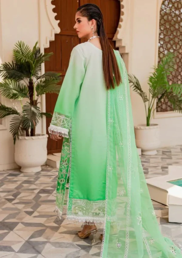 NOOR-E-NAZAR BY PARISHAY : NEE-05 - Image 2