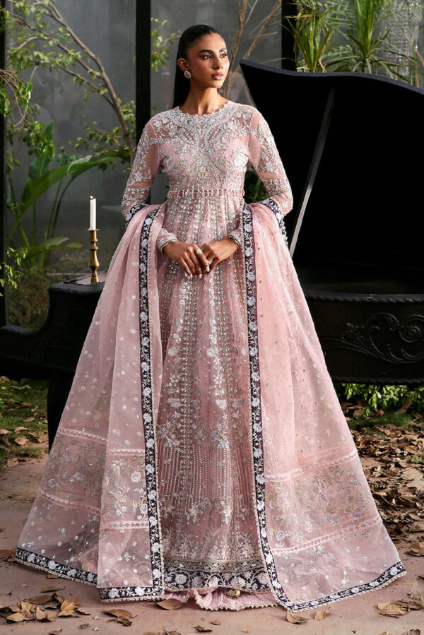 AFROZEH (LA FUSCHIA) – ZEAL